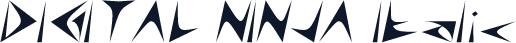 DIGITAL NINJA Italic