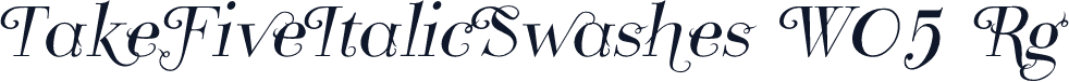 TakeFiveItalicSwashes W05 Rg