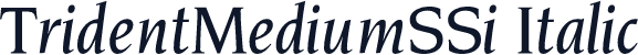 TridentMediumSSi Italic
