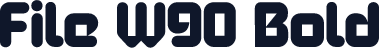 File W90 Bold