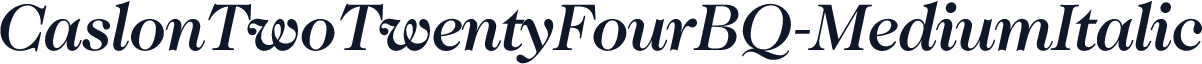 CaslonTwoTwentyFourBQ-MediumItalic