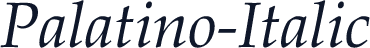 Palatino-Italic