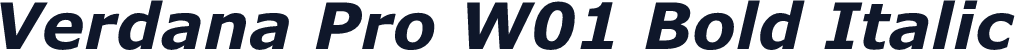 Verdana Pro W01 Bold Italic