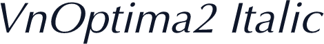 VnOptima2 Italic