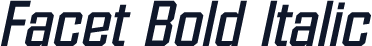 Facet Bold Italic