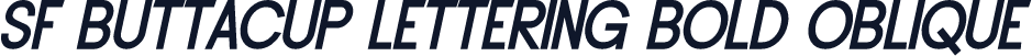 SF Buttacup Lettering Bold Oblique