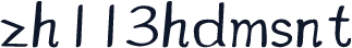 zh113hdmsnt