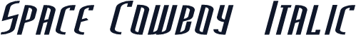 Space Cowboy  Italic