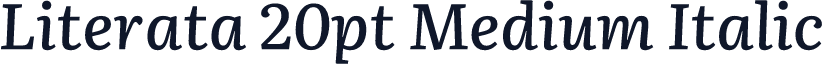 Literata 20pt Medium Italic