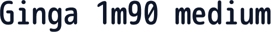 Ginga 1m90 medium