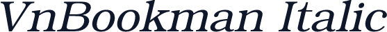 VnBookman Italic