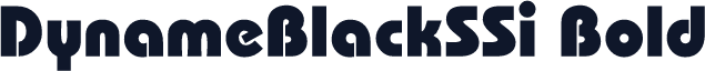 DynameBlackSSi Bold