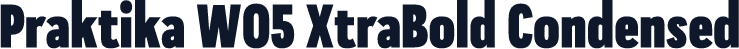 Praktika W05 XtraBold Condensed