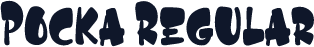 Pocka Regular