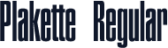 Plakette Regular