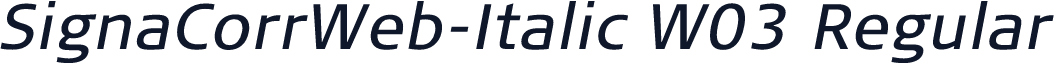 SignaCorrWeb-Italic W03 Regular