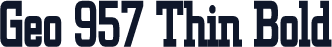 Geo 957 Thin Bold