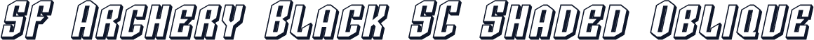 SF Archery Black SC Shaded Oblique