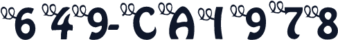 649-CAI978