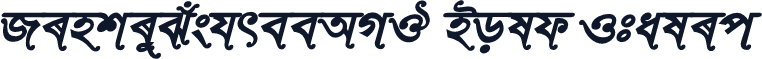 RinkiySushreeAMJ Bold Italic
