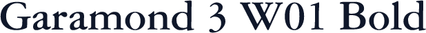 Garamond 3 W01 Bold