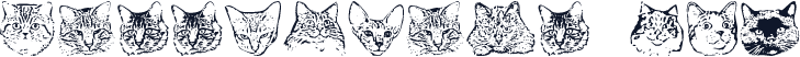 KittyPrint AOE