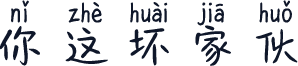 你这坏家伙