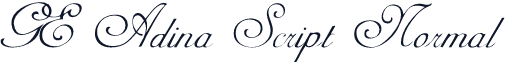 GE Adina Script Normal