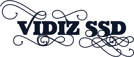 VIDIZ ssD