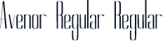 Avenor Regular Regular