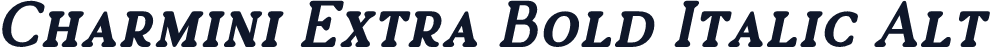 Charmini Extra Bold Italic Alt