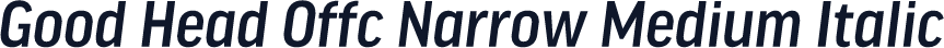 Good Head Offc Narrow Medium Italic