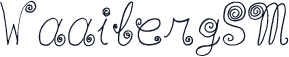 WaaibergSM