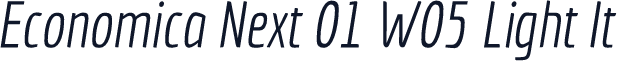 Economica Next 01 W05 Light It