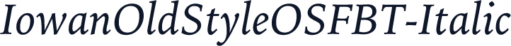 IowanOldStyleOSFBT-Italic