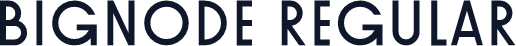 Bignode Regular