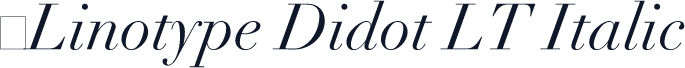 ☞Linotype Didot LT Italic