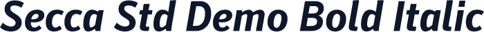 Secca Std Demo Bold Italic