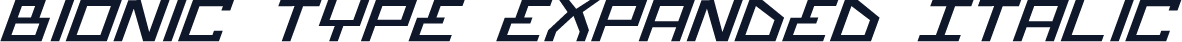 Bionic Type Expanded Italic