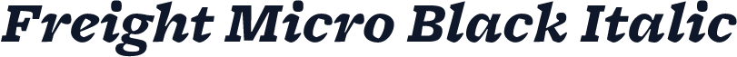 Freight Micro Black Italic