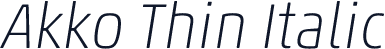 Akko Thin Italic