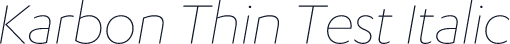Karbon Thin Test Italic