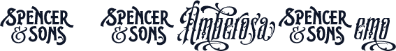 S&SAmberosaDemo