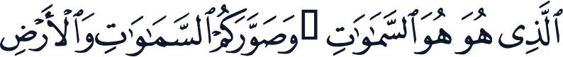 QCF_P556