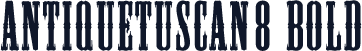 ☞AntiqueTuscan8 Bold