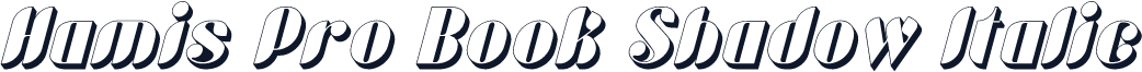 Hamis Pro Book Shadow Italic