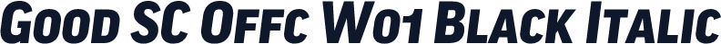 Good SC Offc W01 Black Italic
