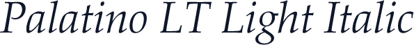 Palatino LT Light Italic