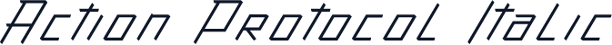Action Protocol Italic