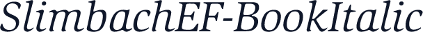 SlimbachEF-BookItalic